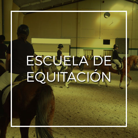 Escuela de equitación en Toledo