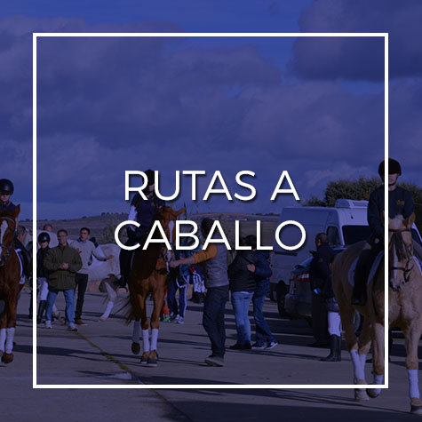 Rutas-a-caballo-y-en-poni-en-toledo